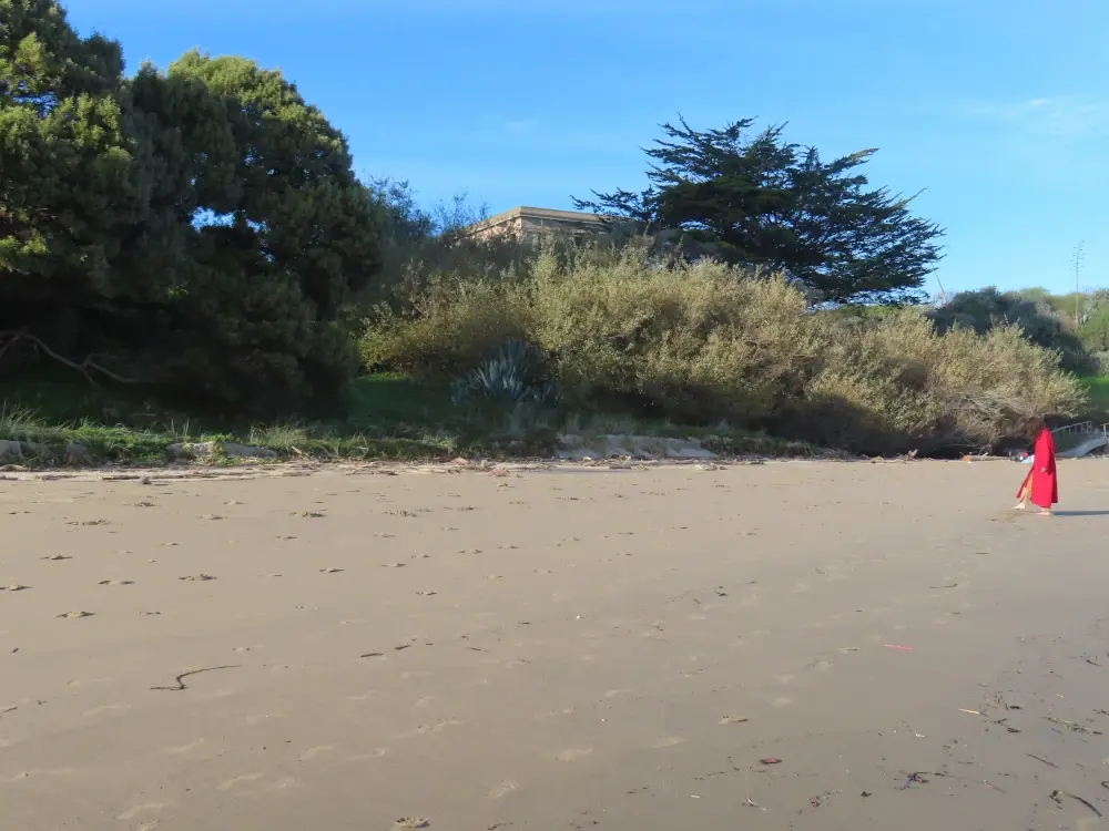 A photo of a beach, looking inland with trees and a building in the background. A small figure on the beach is writing something on the sand with her bare toe.