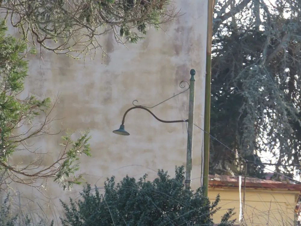 A beautifully curved lamp but with no bulb