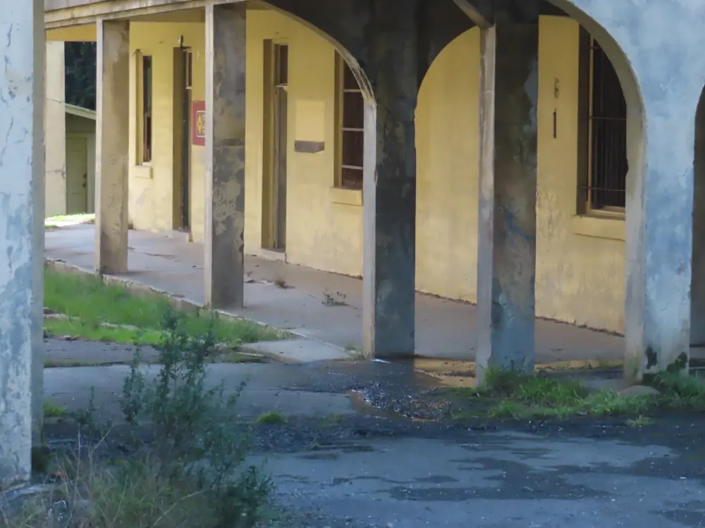 Weed-choked collonade