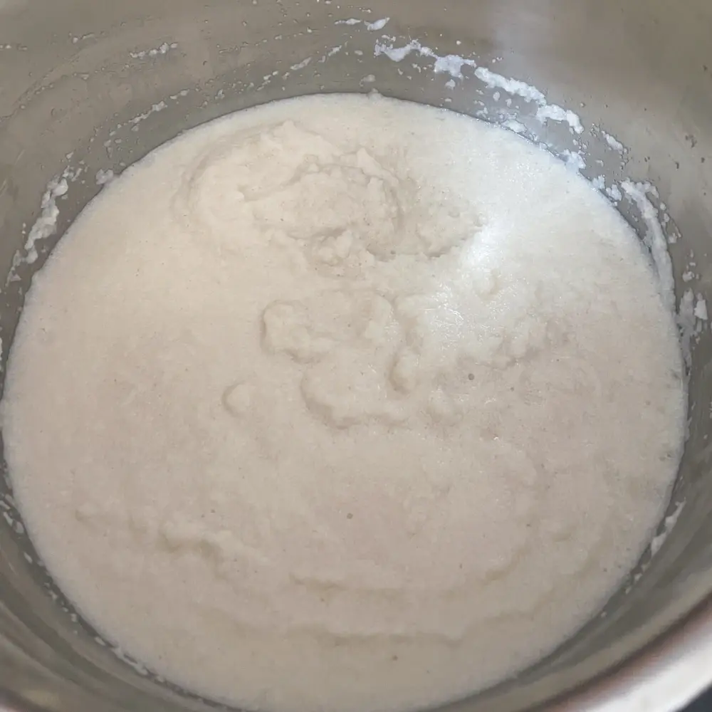 White idli batter at the bottom of a large metal vessel