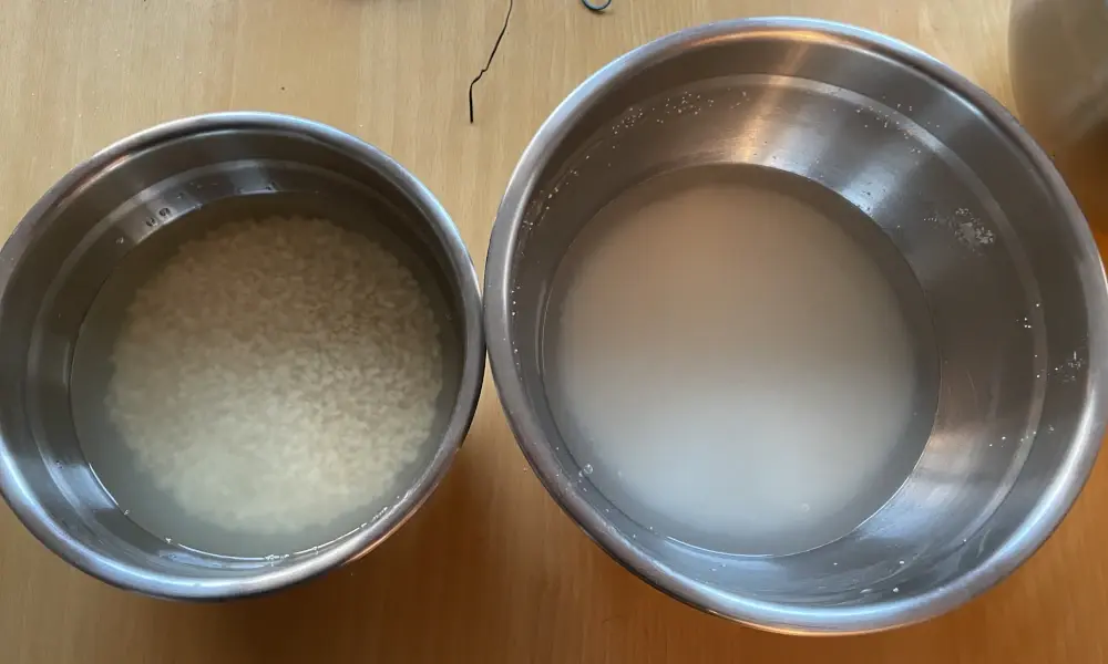 Two metal bowls with different whitish substances soaking in water