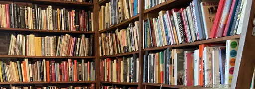 Photo of a wood bookshelf going around a corner and up and down as far as the photo goes filled with all kinds of books. The titles are too indistinct to read. Photo taken at Mother Foucault's bookstore in Portland, Oregon.