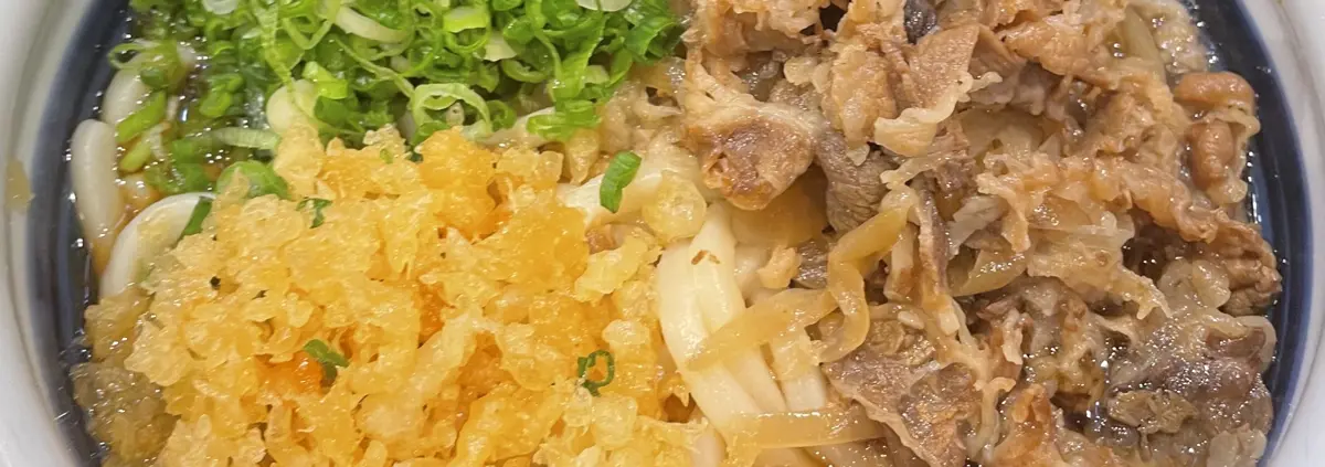 A closeup photo of a bowl of udon topped with finely sliced beef, scallions and crunchy tempura bits