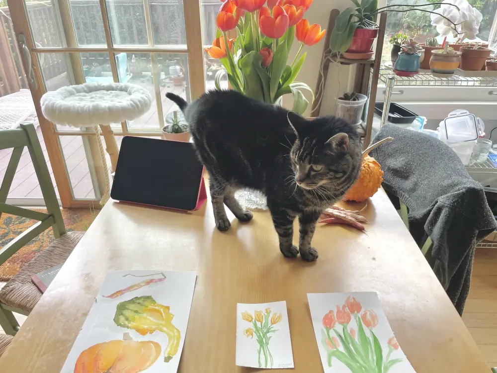 A black tabby cat on a table looks at 3 watercolor paintings in front of her: a panting of gourds and a cranberry bean pod, a painting of yellow tulips, and a painting of orange tulips. The orange tulips from the painting are also in the base behind her.