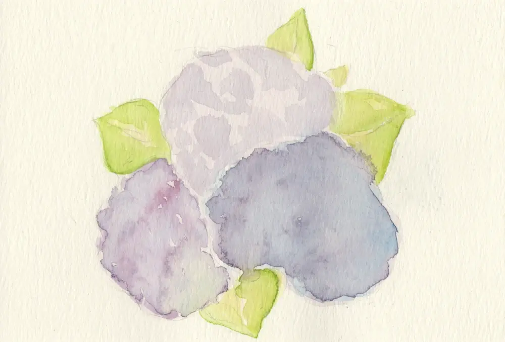 A watercolor painting of big bunches of hydrangea orbs with the details of the flowers abstracted