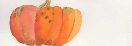 Cropped closeup of a watercolor painting single orange pumpkin