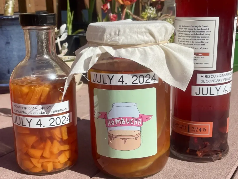 Two glass bottles and a jar with orange and red liquid. Left to right they are labelled as containing apricot hibiscus ginger kombucha, plain kombucha, and hibiscus ginger kombucha secondary brew. Bits of mysterious floating stuff are in each container, but each one is a little different.