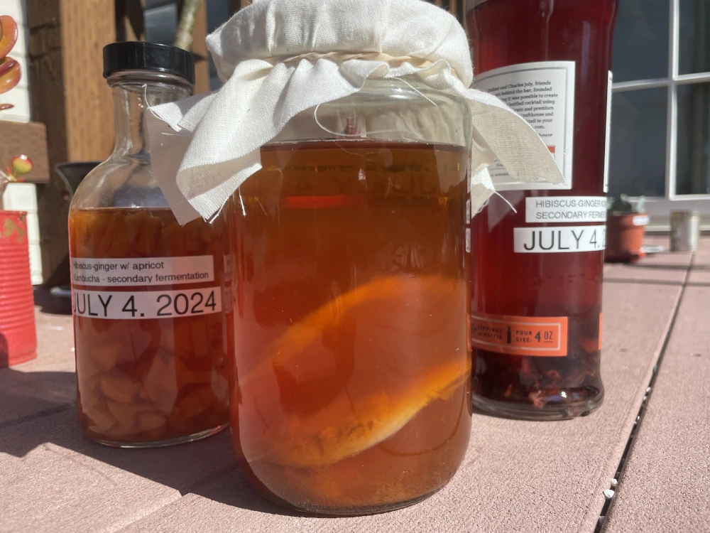 Two bottles and a jar of brewing kombucha, turned so you can see the floating bits of SCOBY in the jar and the fruits and flavorings in the bottles