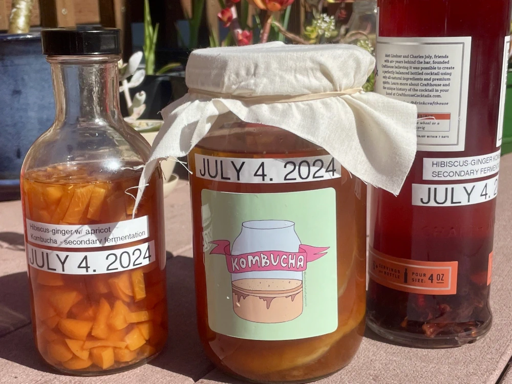 Two glass bottles and a jar with orange and red liquid. Left to right they are labelled as containing apricot hibiscus ginger kombucha, plain kombucha, and hibiscus ginger kombucha secondary brew. Bits of mysterious floating stuff are in each container, but each one is a little different. 