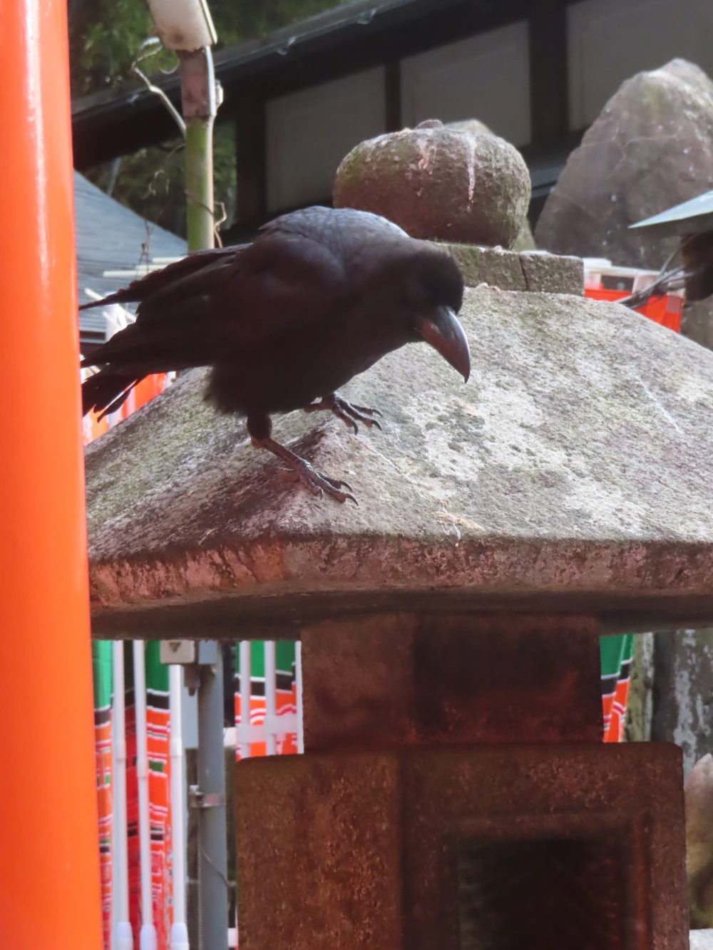 A crow perches precariously on a stone lantern