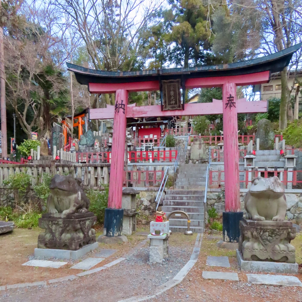 A red torii frames the entrance to an shrine. It' garded by two huge stone frogs