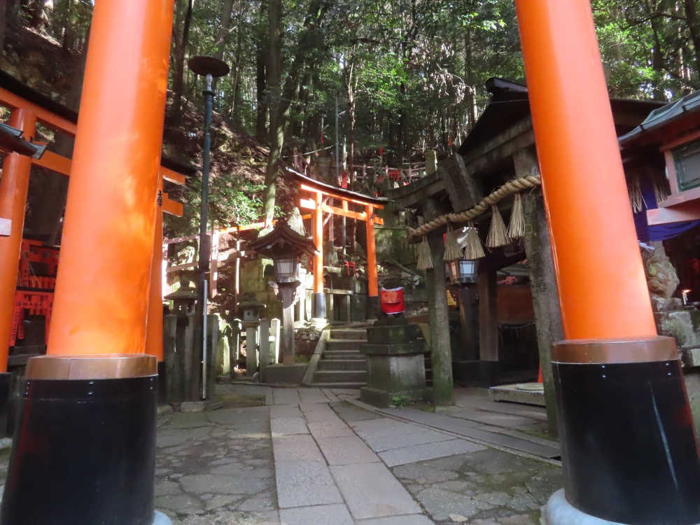 A red torii frames the entrance to a steep hillside shrine made of many smaller stone shrines