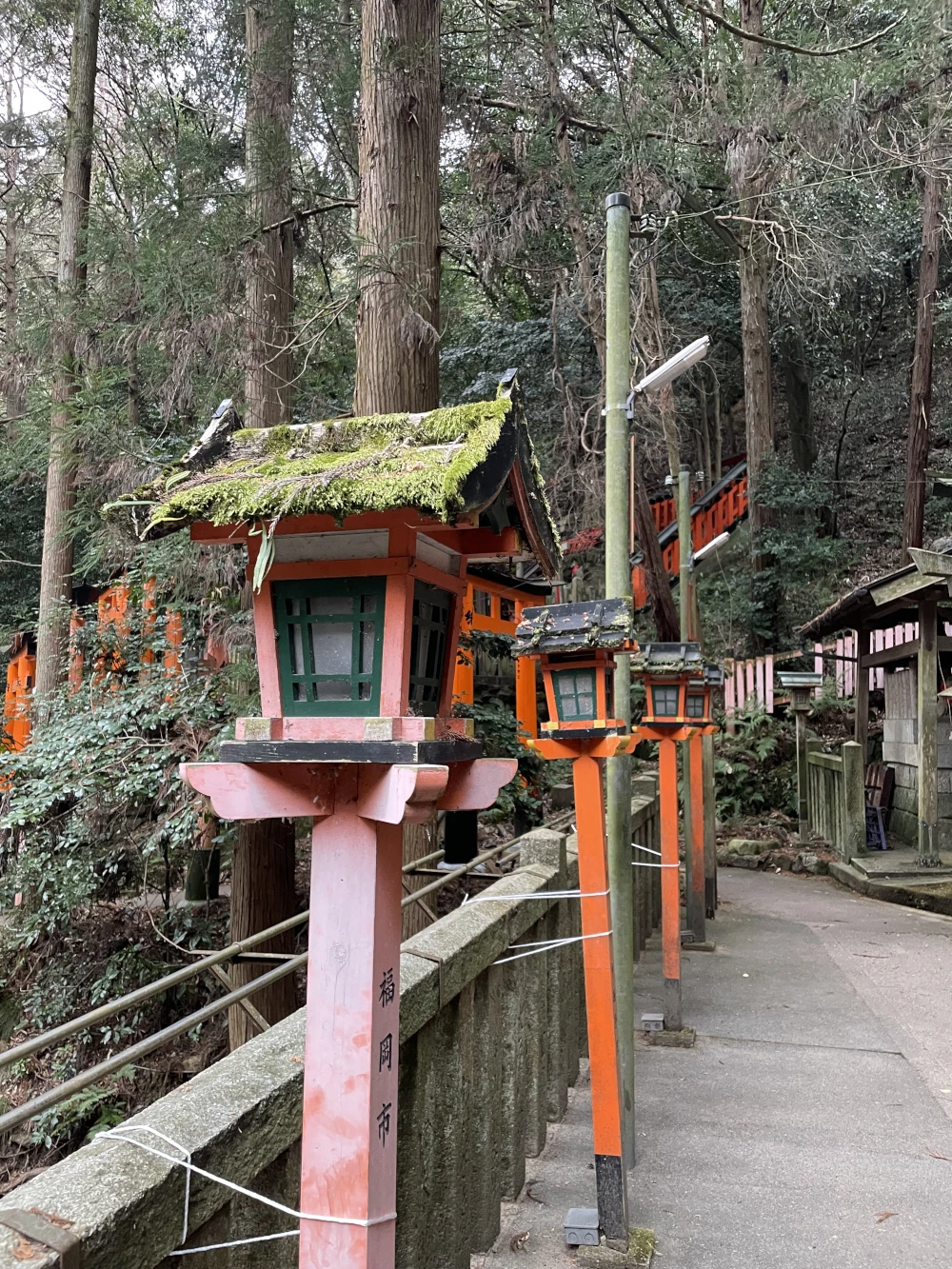 Red wood lanterns stand in a row against a stone fence. Their roofs are covered in moss