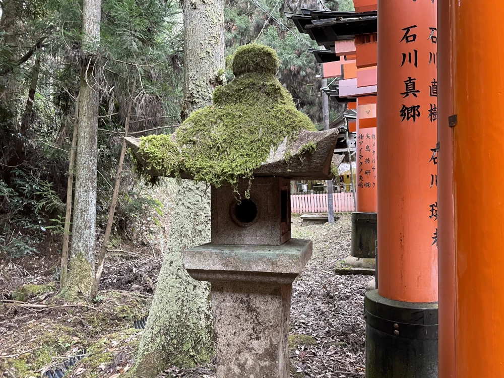 A stone lantern covered in moss stands just outside the torii tunnel