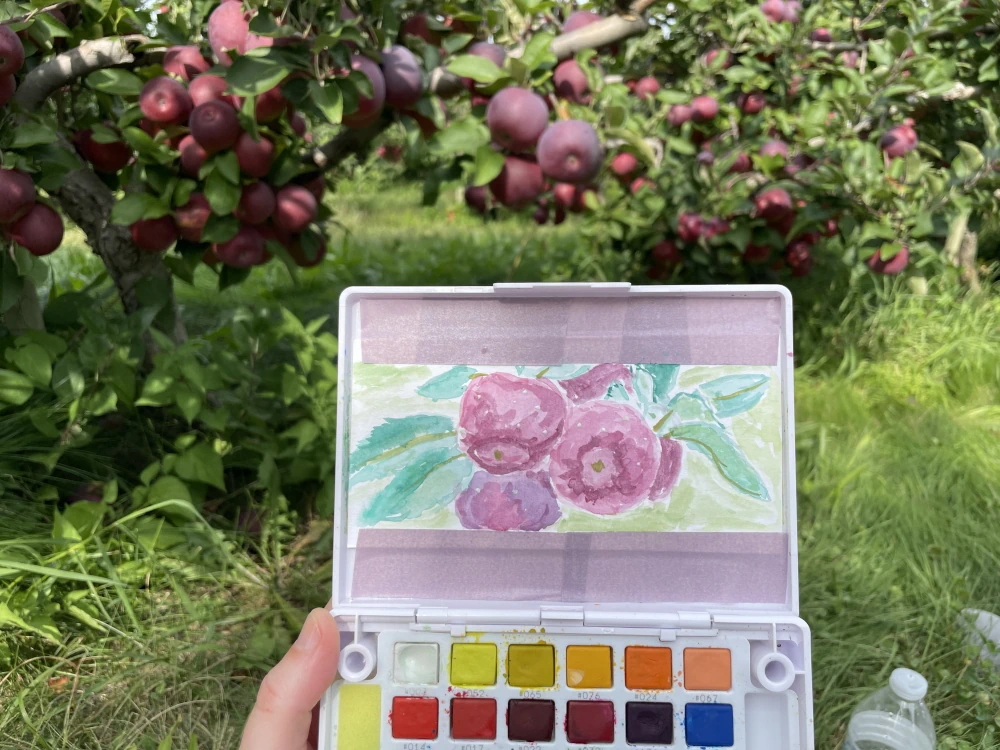 A photo of a portable watercolor palette with a painting of apples held in front of the apples it depicts