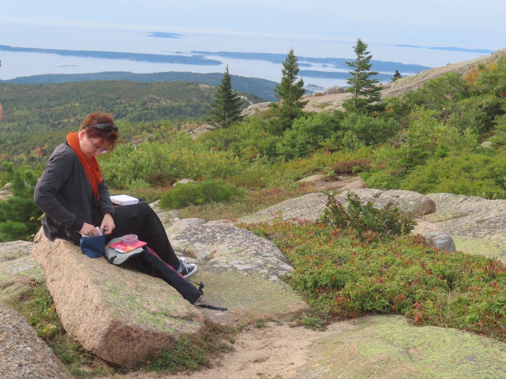 A photo of a person sitting on a rock in front of 3 pine trees, unpacking watercoloring supplies