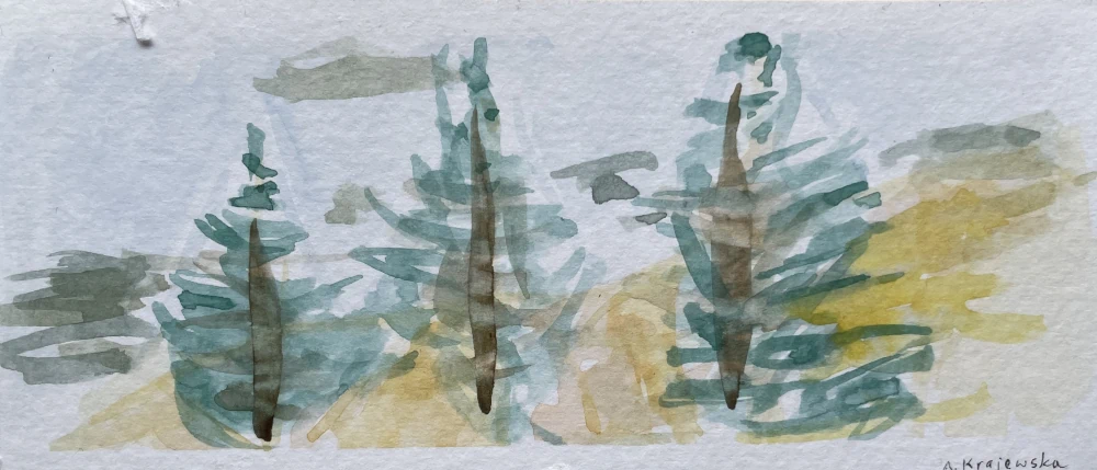 A rough watercolor painting of three pine trees