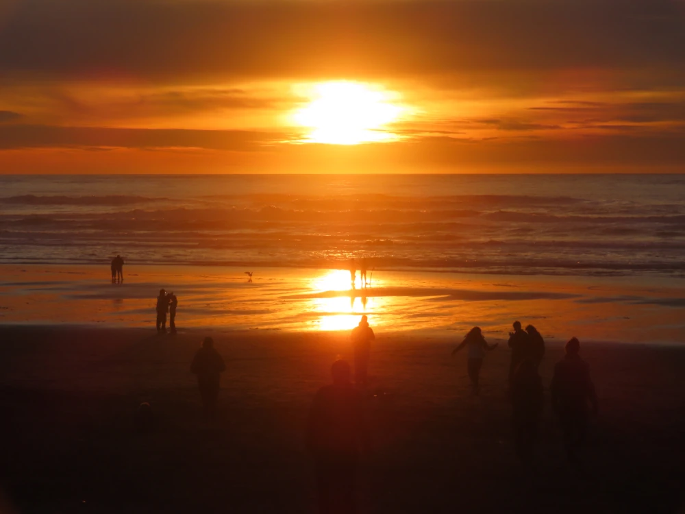 A vibrant orange sun begins to sink into the clouds and is also reflected in wet sand. Many small groups of people on the beach are silhouetted in the brilliant light. Also a seagull, which spreads its wings.