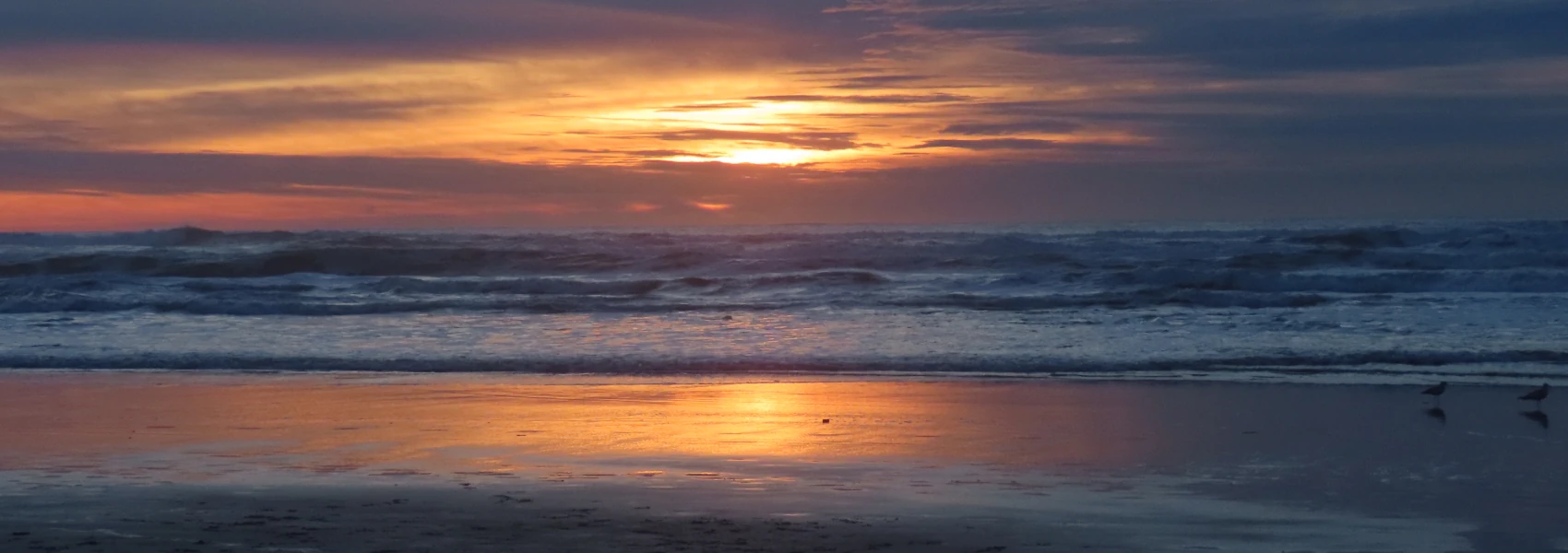 Yellow-orange sunset light, mostly obscured by clouds, reflects on the wet sand as white capped waves recede from the bach. Two gulls stroll in the foreground.