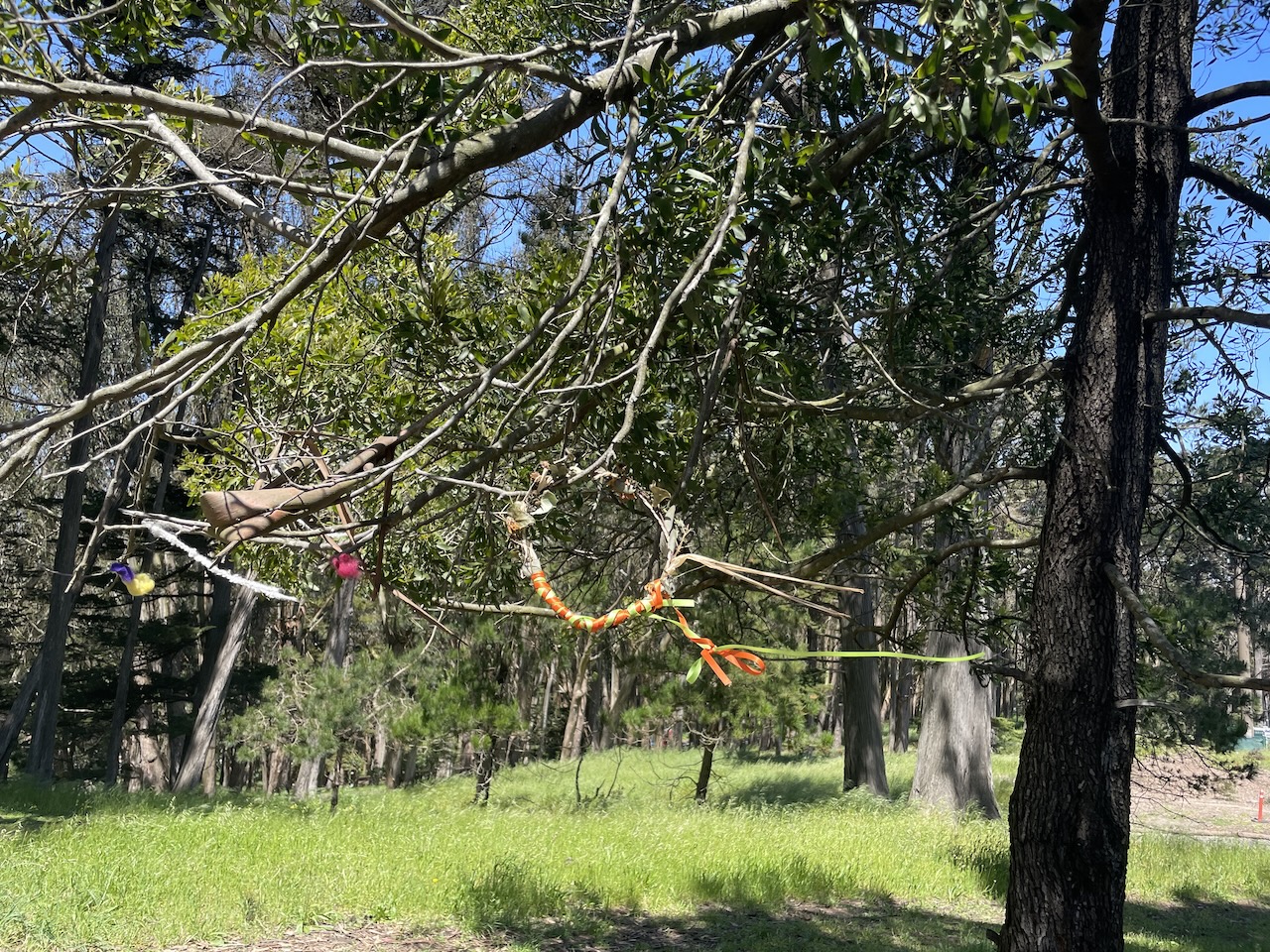 A wreath hangs on tree branch, its ribbons weaving in the wind