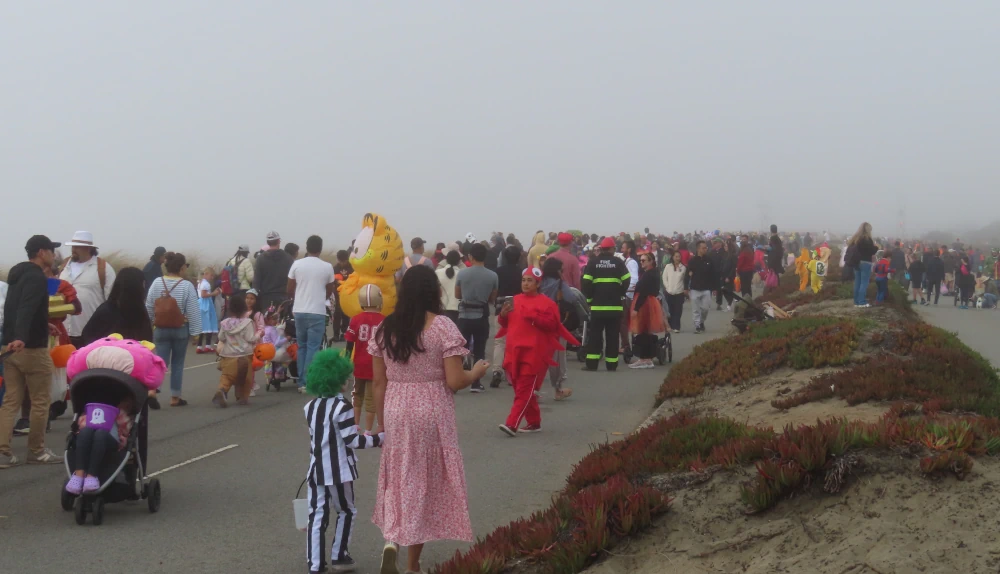 A divided two lane highway filled with people walking on it dressed in costumes. The road is crowded as far as you can see until the people disappear into fog.