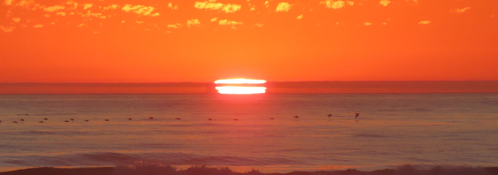 A photograph a sunset over the Pacific Ocean. The sun appears to be cut in half by a cloud. A line of pelicans flies over the water. Own work 2024.