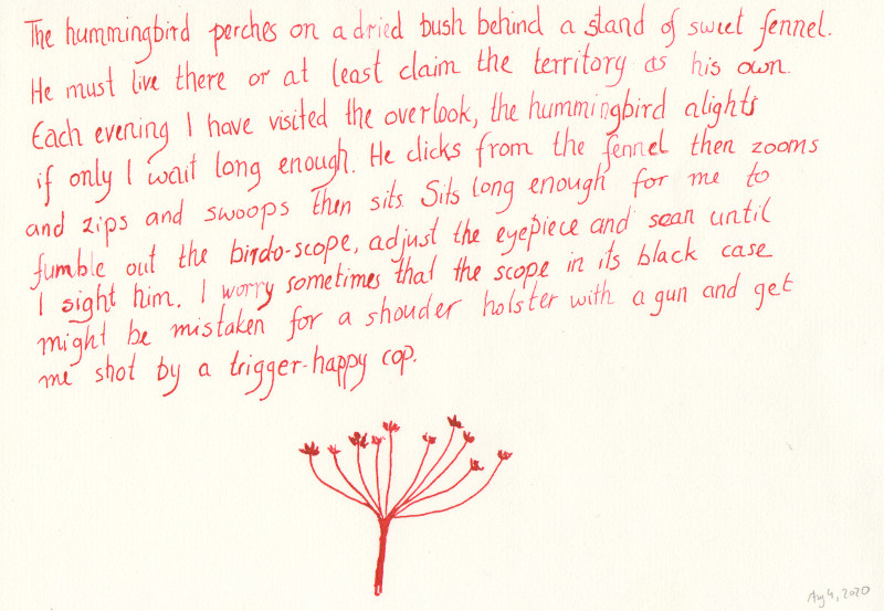 The hummingbird perches. Prose poem in red ink decorated with a drawing of fennel. Full text follows below the image.