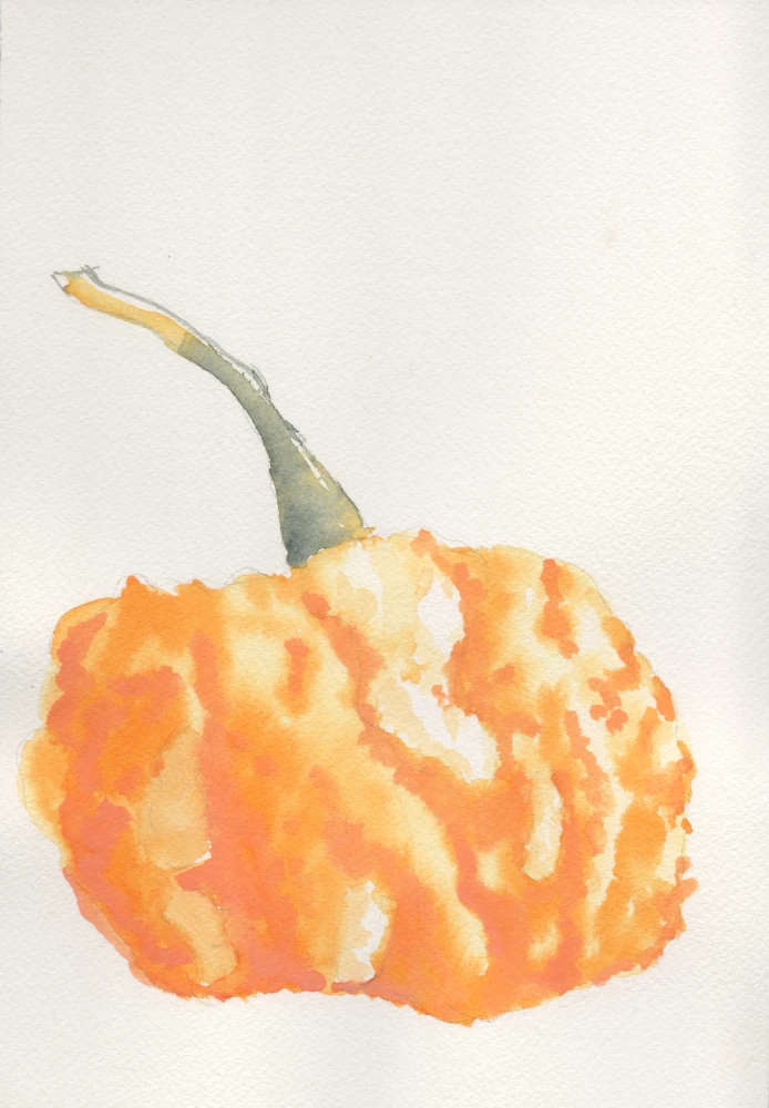 A watercolor painting of a knobbly, textured orange painting with a big green stem.