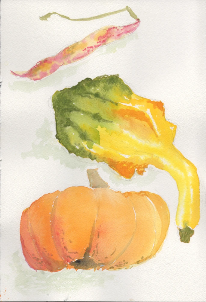 A watercolor painting of a small pumpkin, a green and orange gourd, and a cranberry bean.