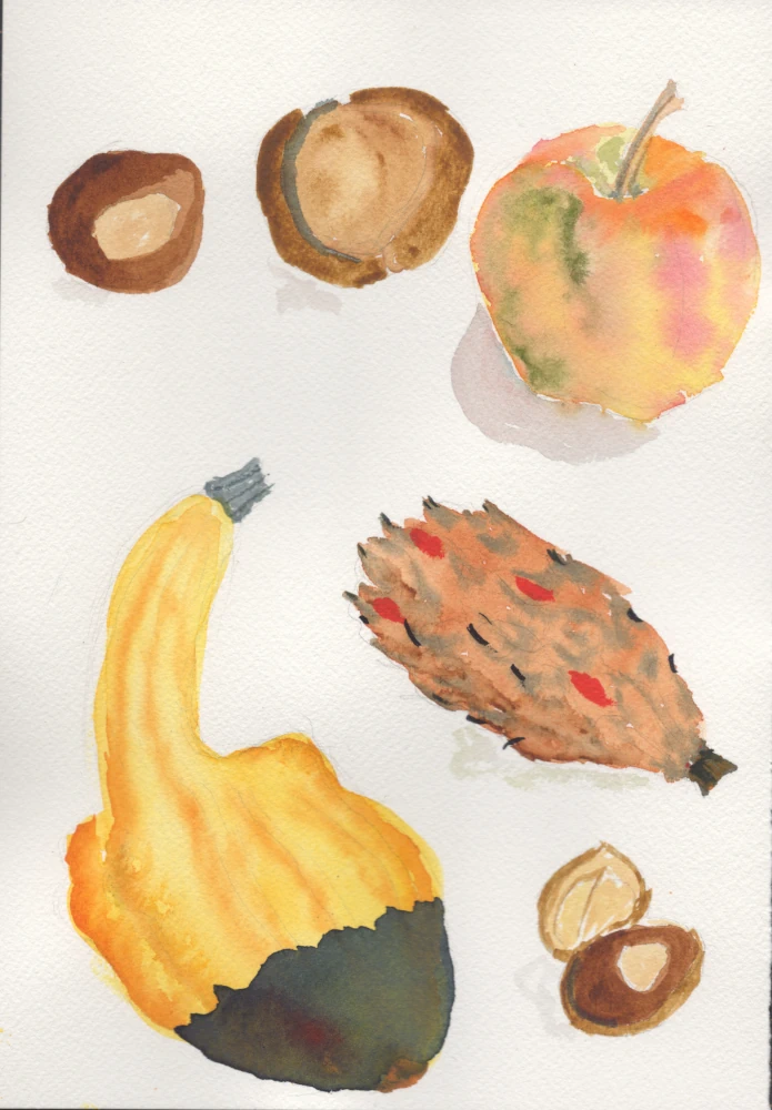 A watercolor painting of several autumnal harvest items, somewhat realistically represented but not photorealistic. Clockwise from the top left: a buckeye, a buckeye pod, a complexly textured apple, a magnolia pinecone, a buckeye still partly inside its pod, and a knobby gourd with a long stem and bulbous body.