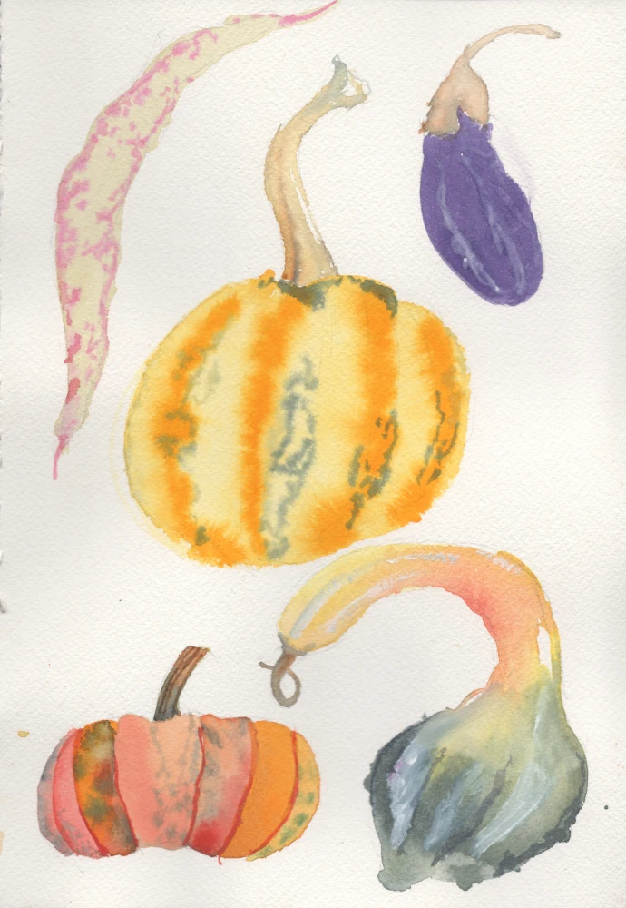 A watercolor painting of several fall harvest vegetables, somewhat realistically represented but not photorealistic. Clockwise from the top left: a cranberry bean pod, a light yellow and green striped pumpkin, a mini eggplant, a knobby gourd with a long stem and bulbous body, and a mini orange pumpkin.