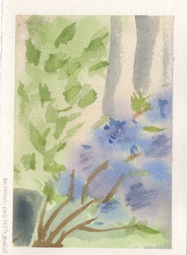A messy watercolor painting of bunches of hydrangeas