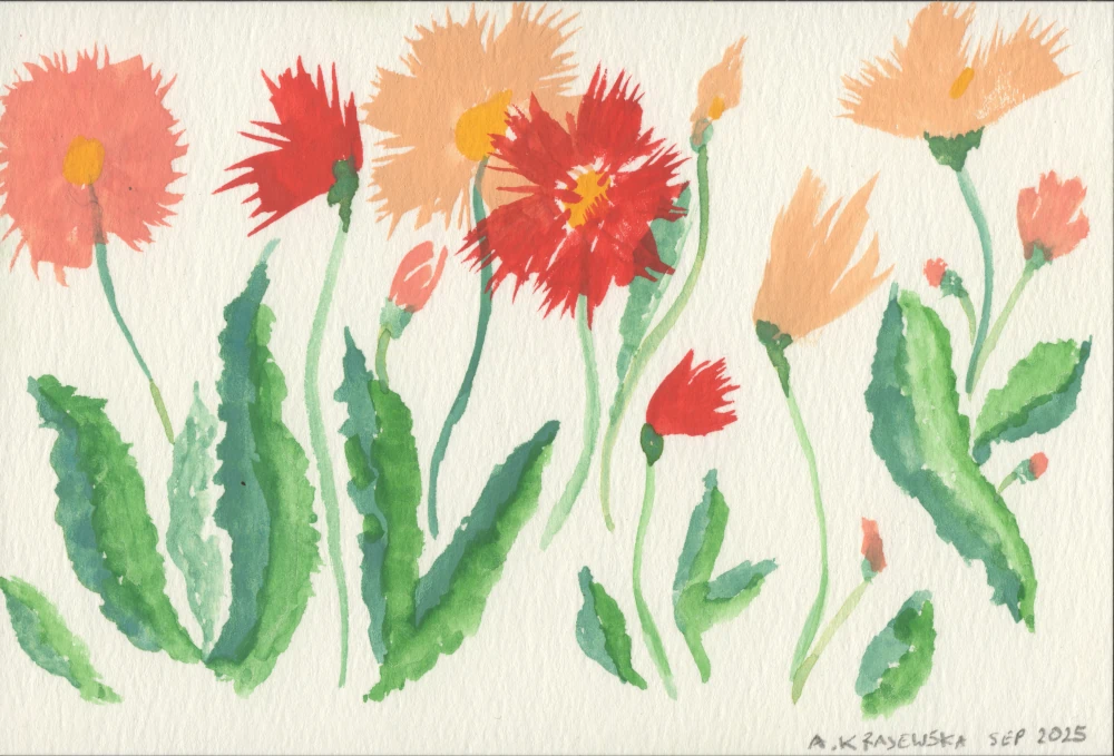 A watercolor painting of asters-like flowers, the blooms shades of red an purple