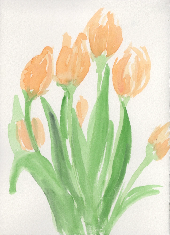 A watercolor painting of a bouquet of orange tulips