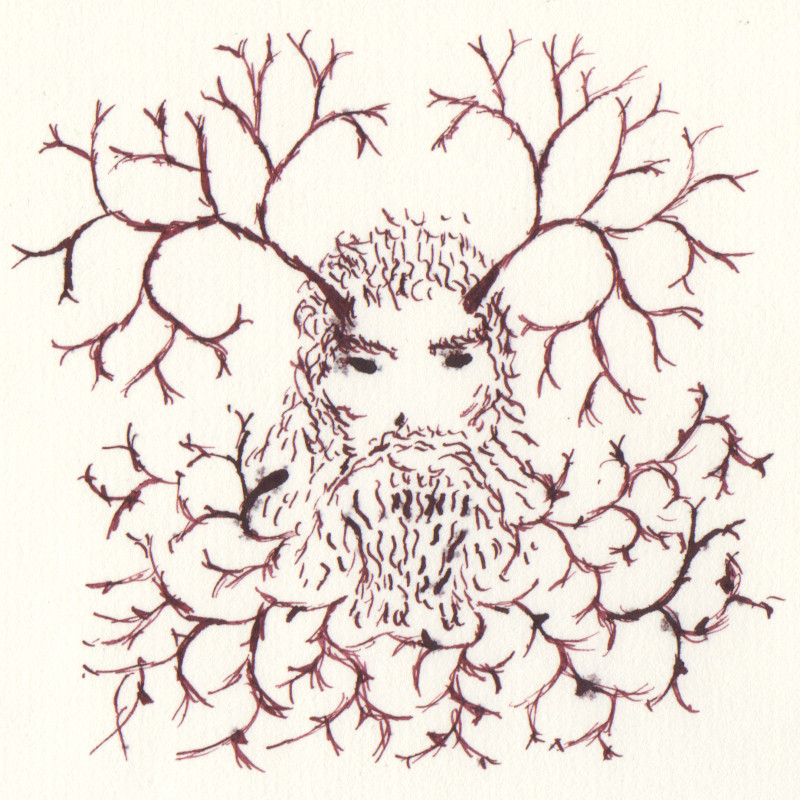 Ink drawing of a bearded wild man. Horns come out of his temples, but then the horns become elaborated more like tree branches. Similar tree branches or horns adorn the bottom of his beard. Own work. October 2019