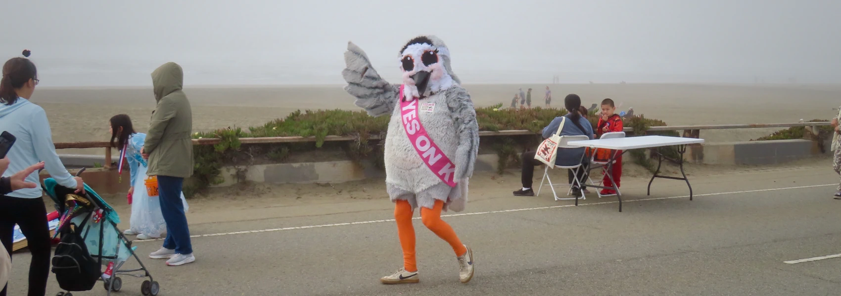 Photo of a person in a full-sized snowy plover costume wearing a sash that says Yes on K. They are waving at the viewer while walking on a road. There are adults and children dressed in costumes on either side, and a fog-shrouded beach in the background.